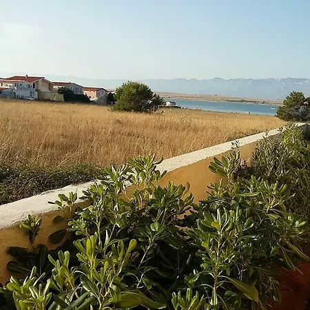 Guest house Island Gold